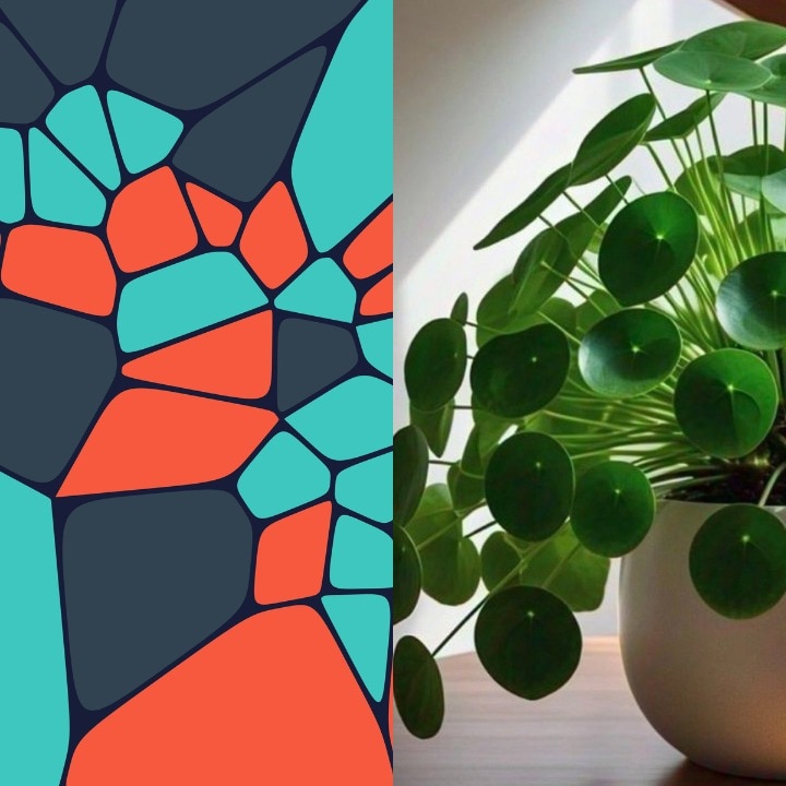 This common houseplant is hiding complex maths secret we never knew