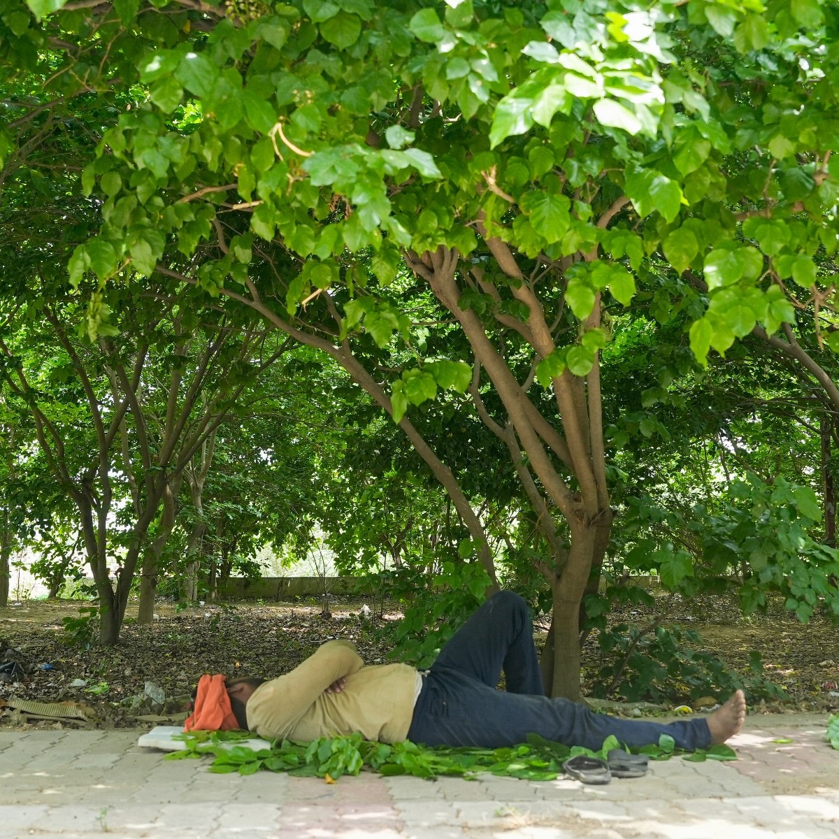 3,400 deaths in a day: India's extreme heat days are turning deadlier
