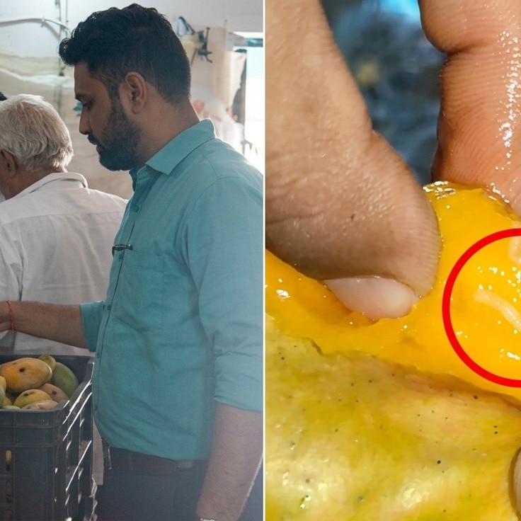 FSSAI seizes worm-infested mangoes in Gujarat. What happens if you eat rotten fruit?