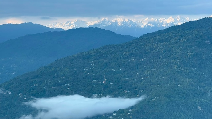 A view from Temi Tea Estate in South Sikkim.