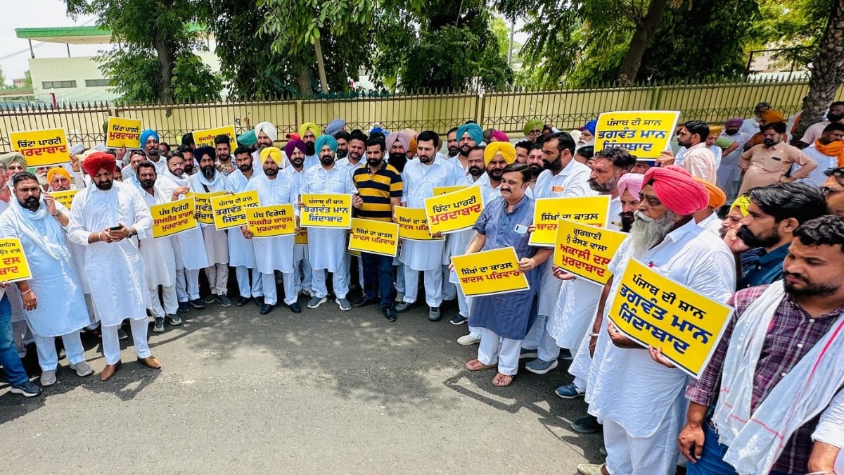 AAP protests in Punjab over video row, accuses SAD of fake campaign against Mann