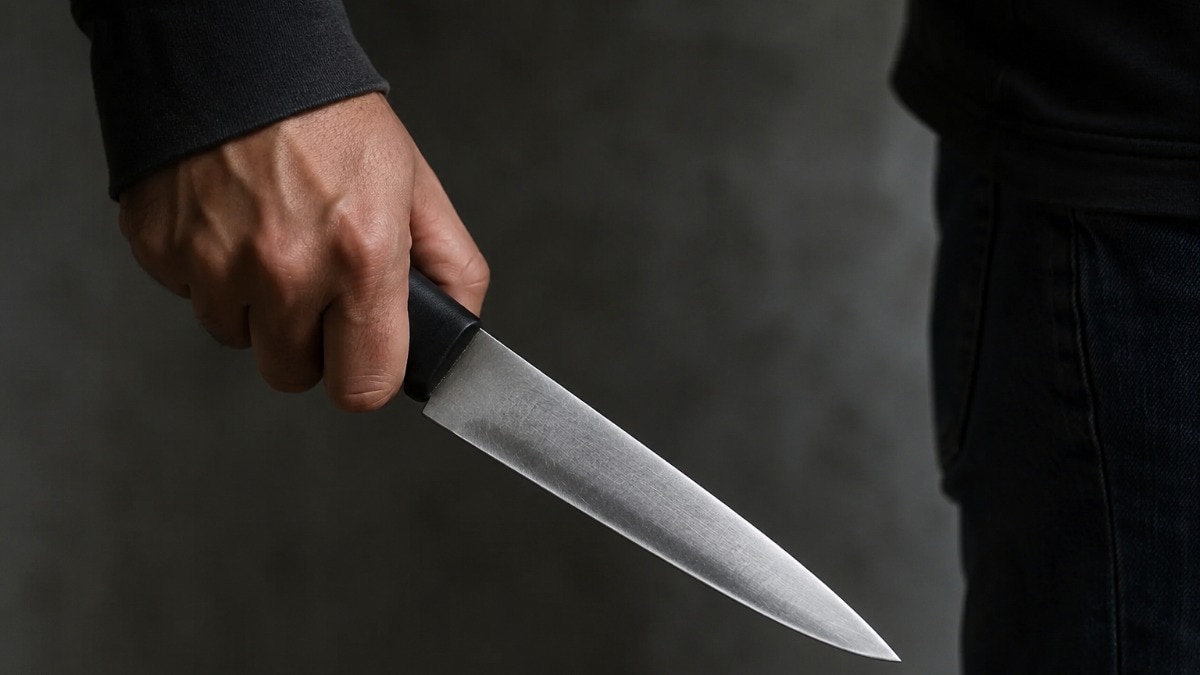 Gujarat boy stabs brother to death after argument over money, arrested
