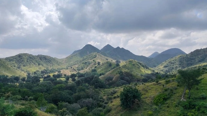 Besides regulating rainwater, the Aravalli Biodiversity Park was found to play a major role in cleaning the air in Delhi. (File photo)