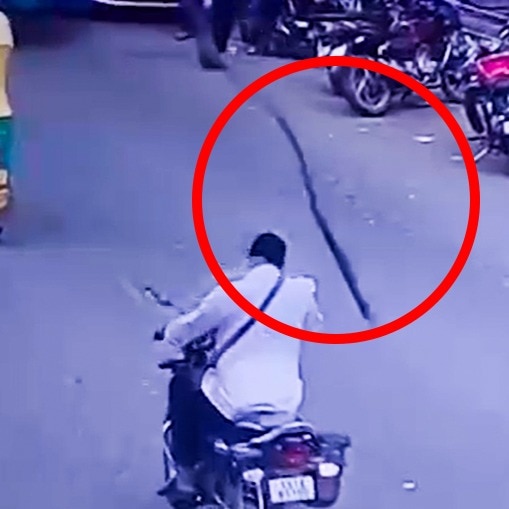 Video: Tree branches fall on man riding bike, leave him fighting for life