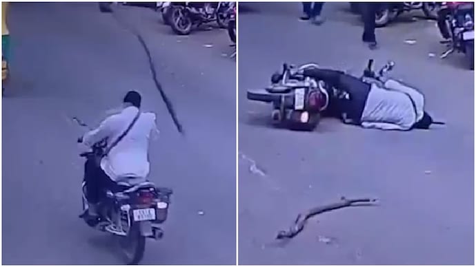 Bengaluru man, 52, left critically injured after tree branch falls on head mid-ride