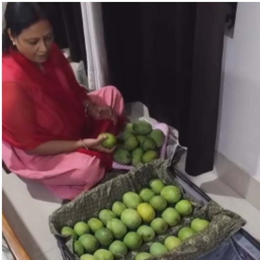 Bihar woman packs suitcase full of mangoes for daughter-in-law in Bengaluru
