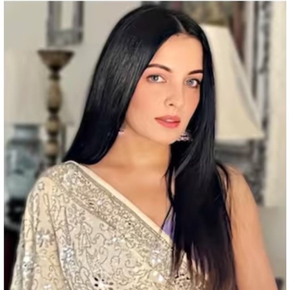 Celina Jaitly says husband and father-in-law used her fame, now cry defamation