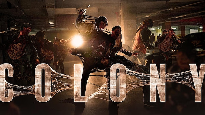 Colony