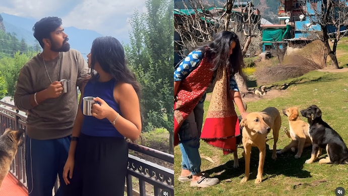 Cost of living in Manali: Remote-working couple spends less than Rs 12,000 a month