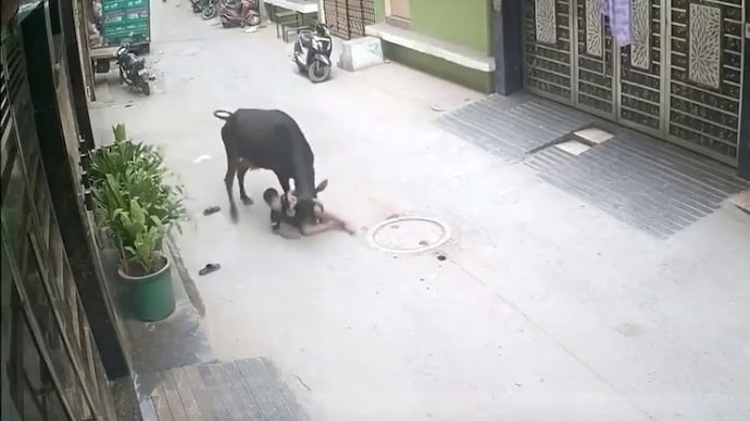 Delhi