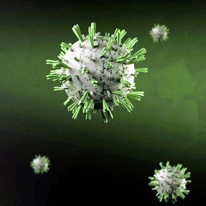 First Ebola case in France after doctor returning from Congo tests positive