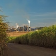 El Nino is here: Will it derail India's ethanol blending efforts? El Nino is here: Will it derail India's ethanol blending efforts?