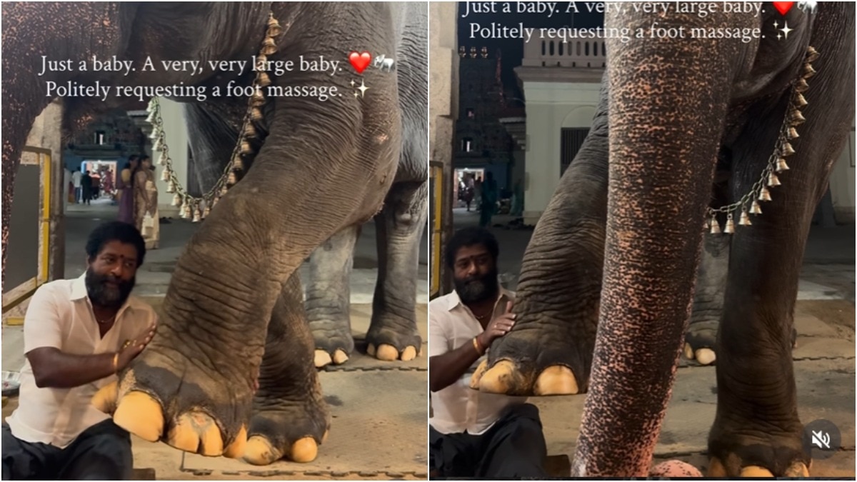 Tamil Nadu temple elephant goes viral for politely