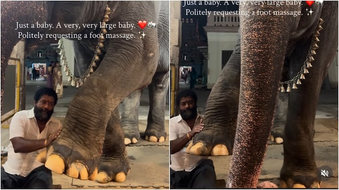 A video showing a temple elephant's foot massage demand will make you smile. (Photo: Instagram) elephant