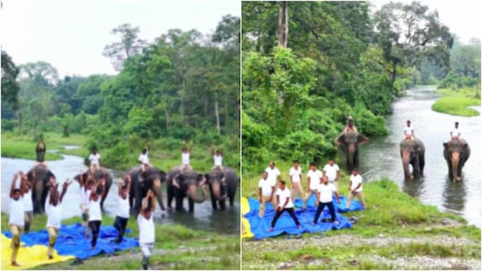 elephant yoga