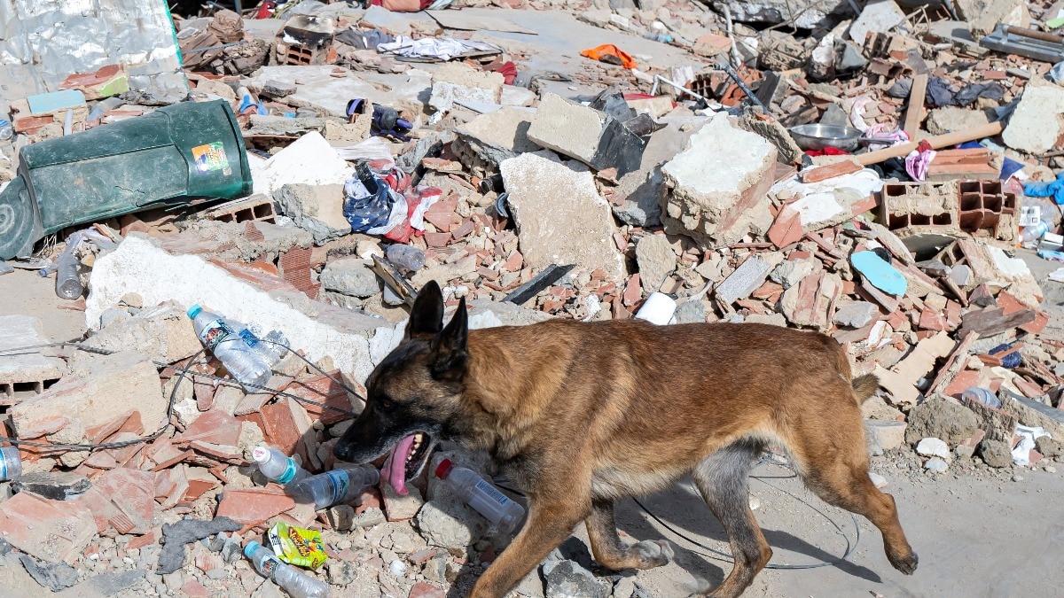 Father and son rescued after four days trapped in Venezuela earthquake rubble