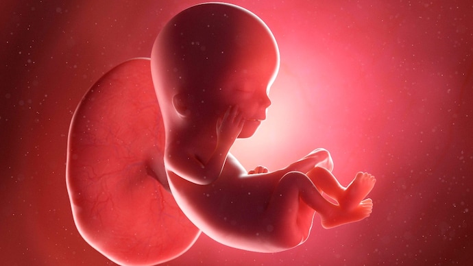 Inhaling toxic air during early pregnancy affects baby's weight