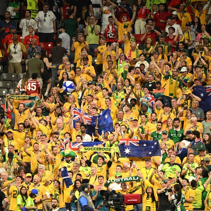 Cricket who? FIFA World Cup celebrations in Australia go viral