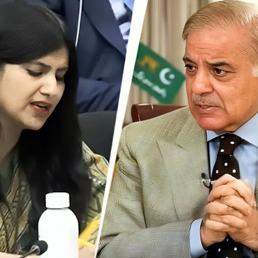 Monster bites back: India calls Pakistan 'Frankenstein state' over terror links