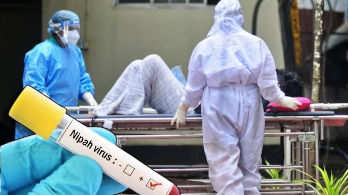 Nipah Virus