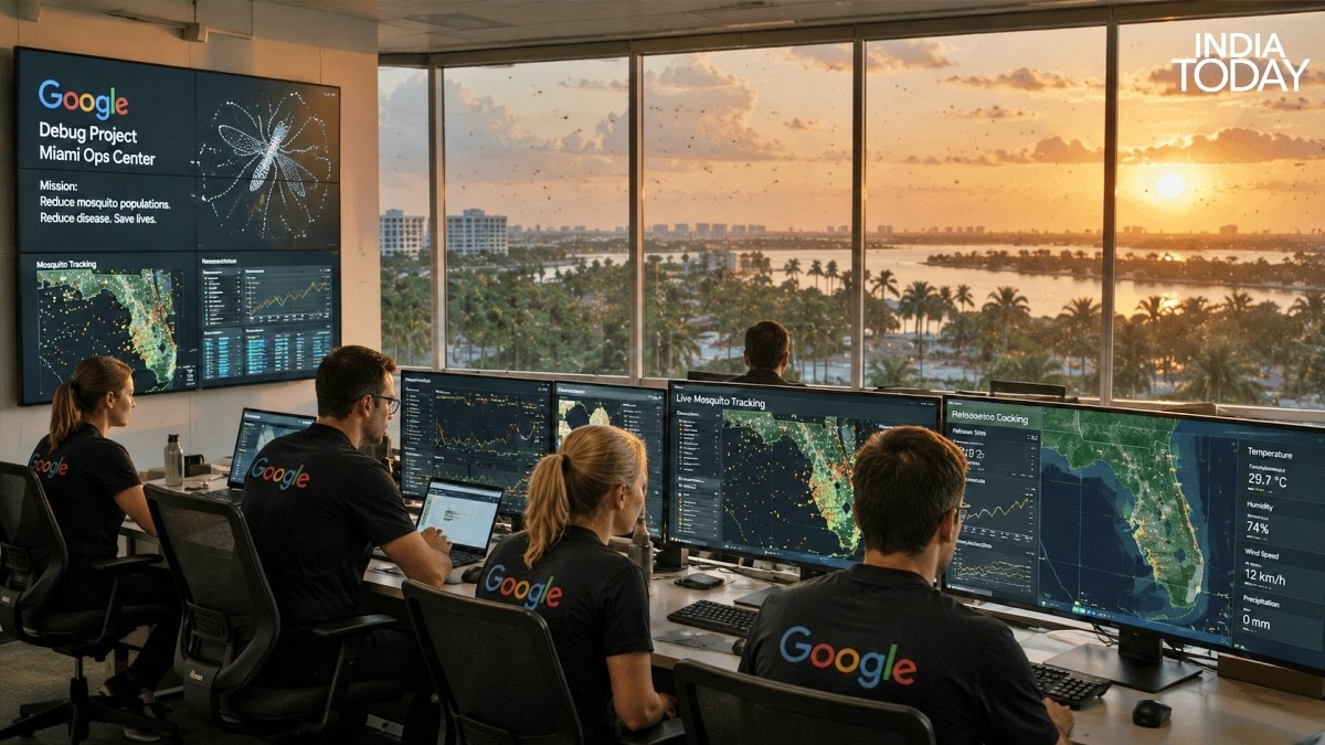 Google to release 32 million mosquitoes in Florida: How it will reduce Dengue
