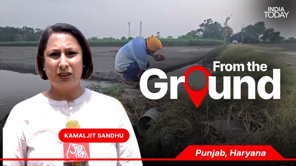 Ground Report