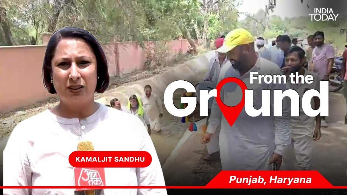 India's breadbasket running dry as Punjab, Haryana