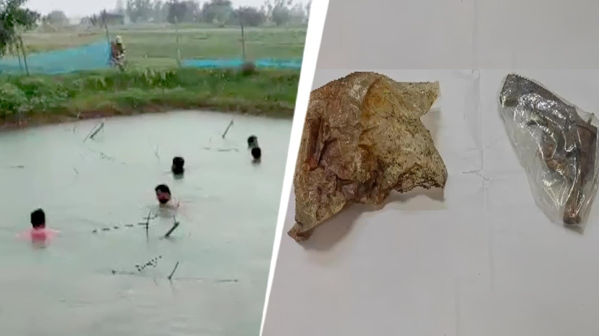 Gun found in pond in Bengal’s South 24 Parganas after similar recoveries in other parts of district Gun found in pond in Bengal’s South 24 Parganas after similar recoveries in other parts of district