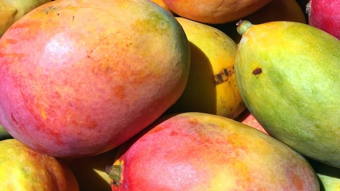 Choosing a ripe mango can be tricky. From colour and aroma to texture and weight, these eight signs can help you pick a sweet and juicy fruit every time. How to pick sweet and ripe mangoes every single time