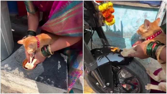 Indian family uses pet cat's paws to bless new motorcycle