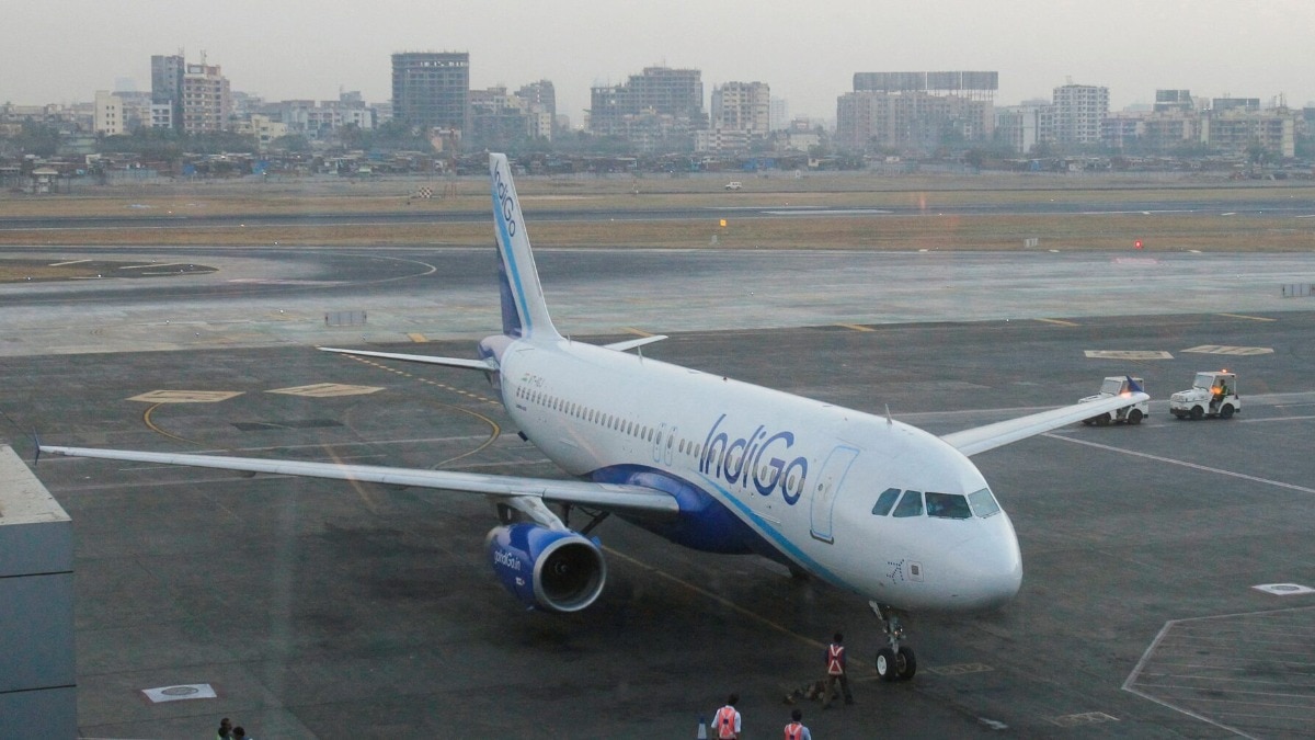 Bird hit delays IndiGo Bengaluru-Mumbai flight by over an hour