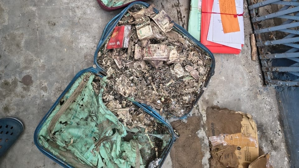 Termite-damaged cash worth Rs 1 crore found in Kolkata college room