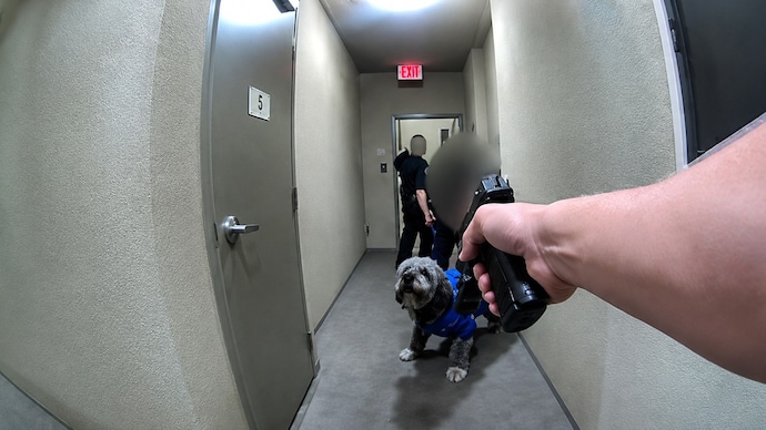 LA dog shooting