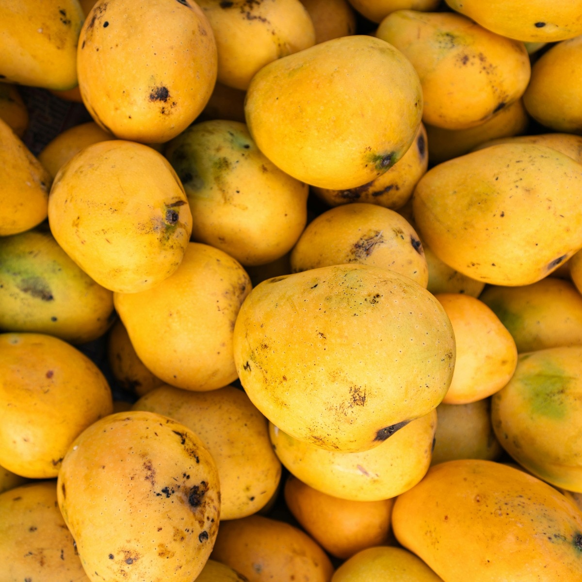 Can people with diabetes eat mangoes? Yes, but there's a catch
