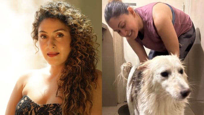 Manjari Fadnnis seeks justice for society dog Mikey (Credit: Instagram/ManjariFadnis) Manjari Fadnnis seeks justice for society dog Mikey