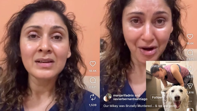 Actress Manjari Phadnis got emotional in an emotional video where she talked about some people brutally killing a dog of her society. Manjari Phadnis photo