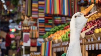 Meet Merlin, the Mexico City duck that became the World Cup’s viral mascot