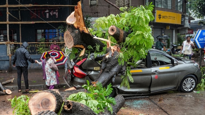 Mumbai: A tree lies atop a car after falling during heavy rainfall and strong winds, in Mumbai, Wednesday. (PTI photo) Mumbai: A tree lies atop a car after falling during heavy rainfall and strong winds, in Mumbai, Wednesday. (PTI photo)