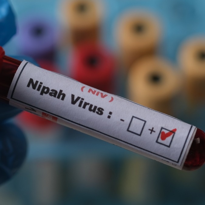 As Kerala handles first Nipah virus case of 2026, a debate over source of infection
