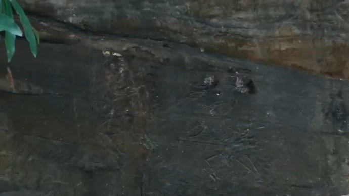 An image of the ancient engravings discovered in Odisha. (Photo: Screengrab) Over 1,000 years old: Engravings on ancient rocks discovered in Odisha