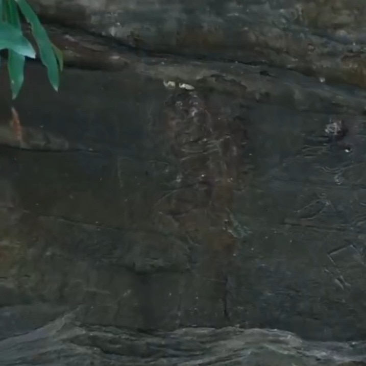 1,000-year-old rock engravings reveal details about ancient Odisha