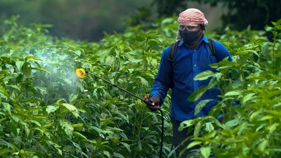 Why hasn't India banned Paraquat, a toxic herbicide rejected