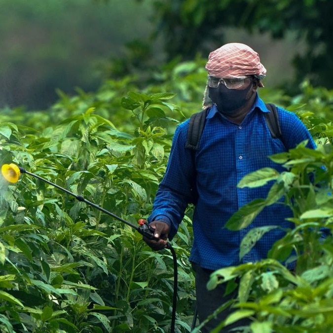 Why is Carbofuran, banned across much of the developed world, still allowed in India?