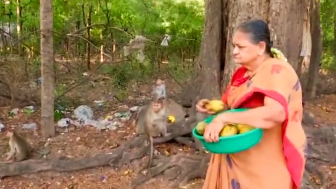 Retired Tamil Nadu cop pension feeding hungry monkeys