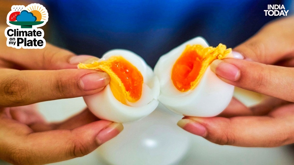 Eggs on your plate are getting smaller and the hen
