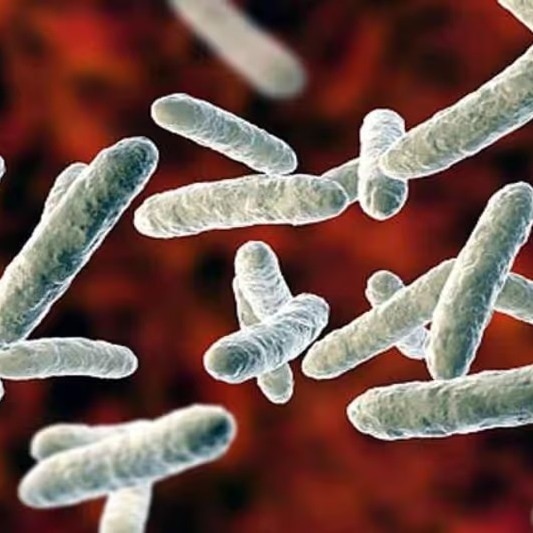 4-year-old dies, 2 children test positive for Shigella infection in Kerala