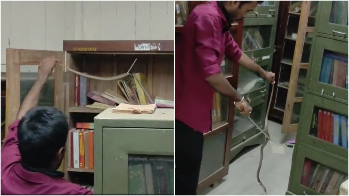 Snake found lurking among books at Kerala college library, v