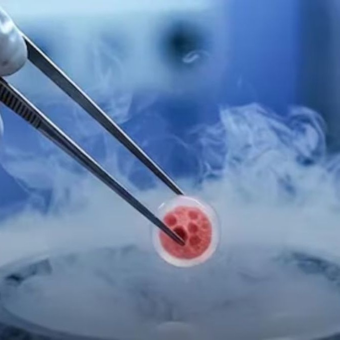 What happens to embryos during IVF? Here's how clinics keep them safe