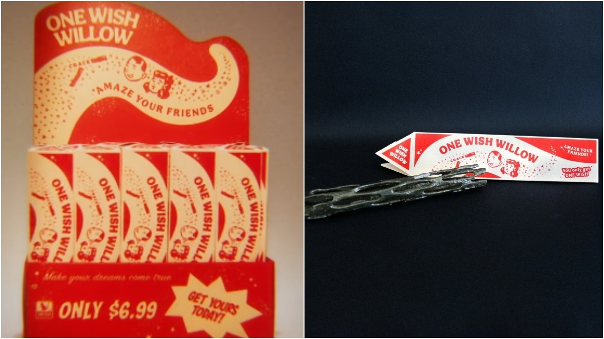 The One Wish Willow explained: The 'cursed' object from Obsession is going viral