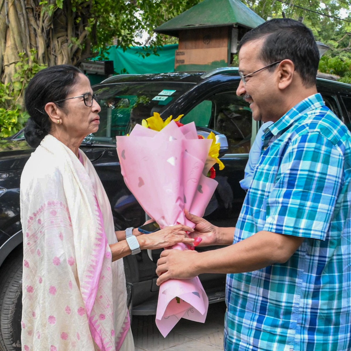 TMC supremo Mamata Banerjee greets AAP National Convenor Arvind Kejriwal. (PTI image)